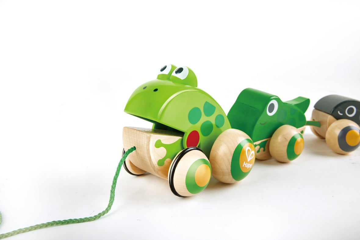 Hape Pull-Along Frog Family – Fun Wooden Toy with Frog Life Cycle for Toddlers to Explore Nature, Movement, and Early Learning