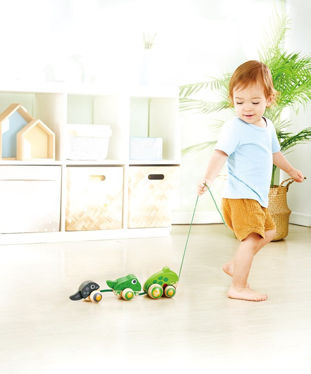 Hape Pull-Along Frog Family – Fun Wooden Toy with Frog Life Cycle for Toddlers to Explore Nature, Movement, and Early Learning