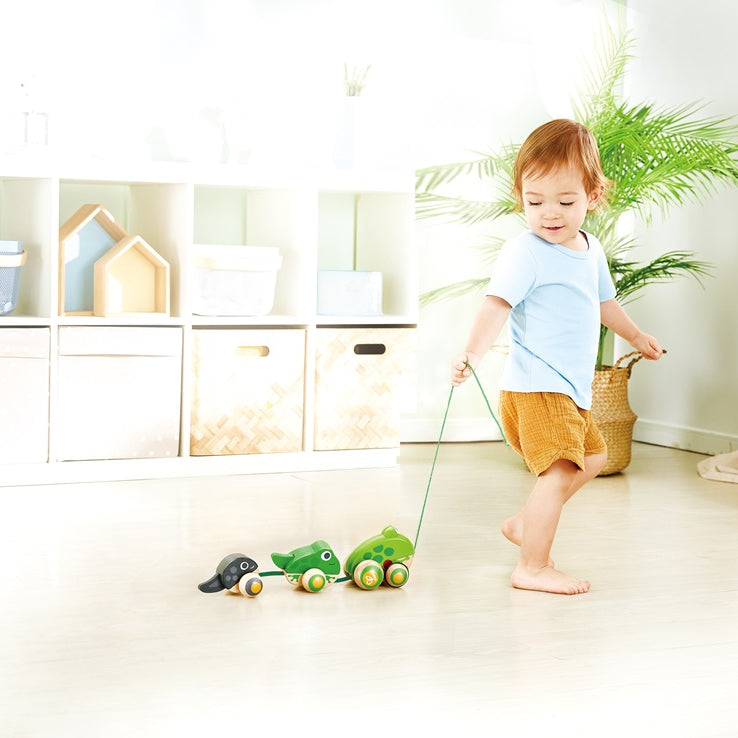 Hape Pull-Along Frog Family – Fun Wooden Toy with Frog Life Cycle for Toddlers to Explore Nature, Movement, and Early Learning