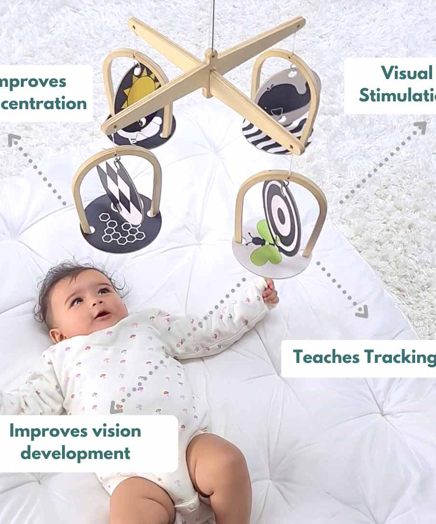 Curious Cub Play & Learn Montessori Kit | Level 1 for 0-3 Months | 9 Engaging Sensory & Developmental Toys for Newborns | High Contrast, Auditory & Motor Skill-Boosting Playset | Made in India - MINIMEE KIDS