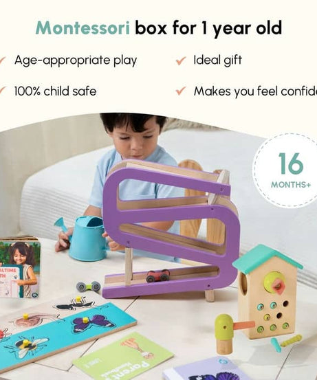 Curious Cub Level 8 Montessori Play & Learn Kit (16-18 Months) | Toddler Educational Set with Car Tracker & Magnetic Bird Feeder | minimee kids