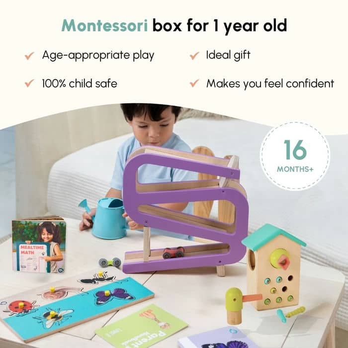 Curious Cub Level 8 Montessori Play & Learn Kit (16-18 Months) | Toddler Educational Set with Car Tracker & Magnetic Bird Feeder | minimee kids