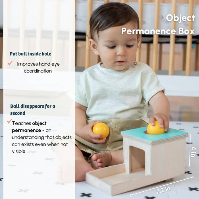 Curious Cub Level 4 Play & Learn Montessori Kit (7 Months+) | 8-Piece Developmental Toy Set for Object Permanence, Motor Skills & Sensory Exploration | minimee kids