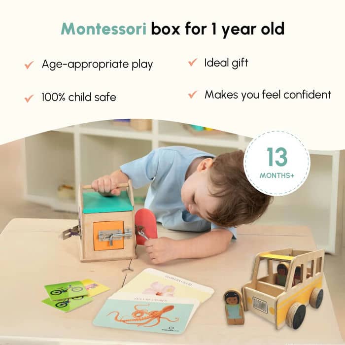 Curious Cub Level 10 Montessori Play & Learn Kit (21 Months+) | Premium 9-Piece Educational Wooden Toy Set for Toddler Cognitive & Fine Motor Skills Development - MINIMEE KIDS