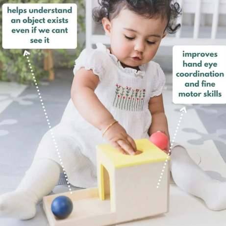 Curious Cub Object Permanence Box for 7+ months