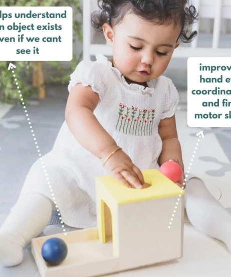Curious Cub Object Permanence Box for 7+ months - MINIMEE KIDS