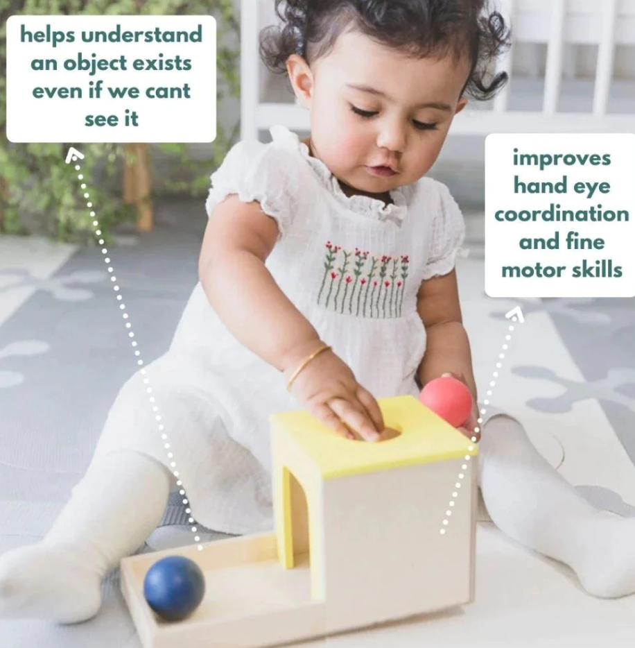 Curious Cub Object Permanence Box for 7+ months