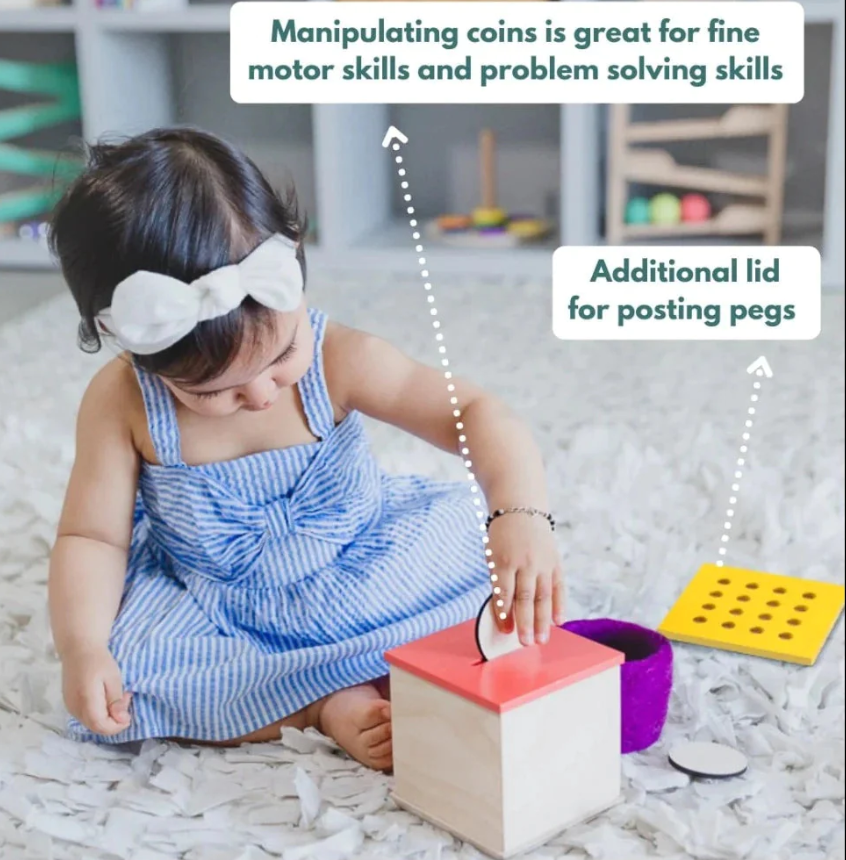 Curious Cub Wooden Coin & Peg Box, Montessori-Inspired 2-in-1 Shape Sorter for Ages 12 Months+, Develops Fine Motor Skills, Problem-Solving, and Object Permanence