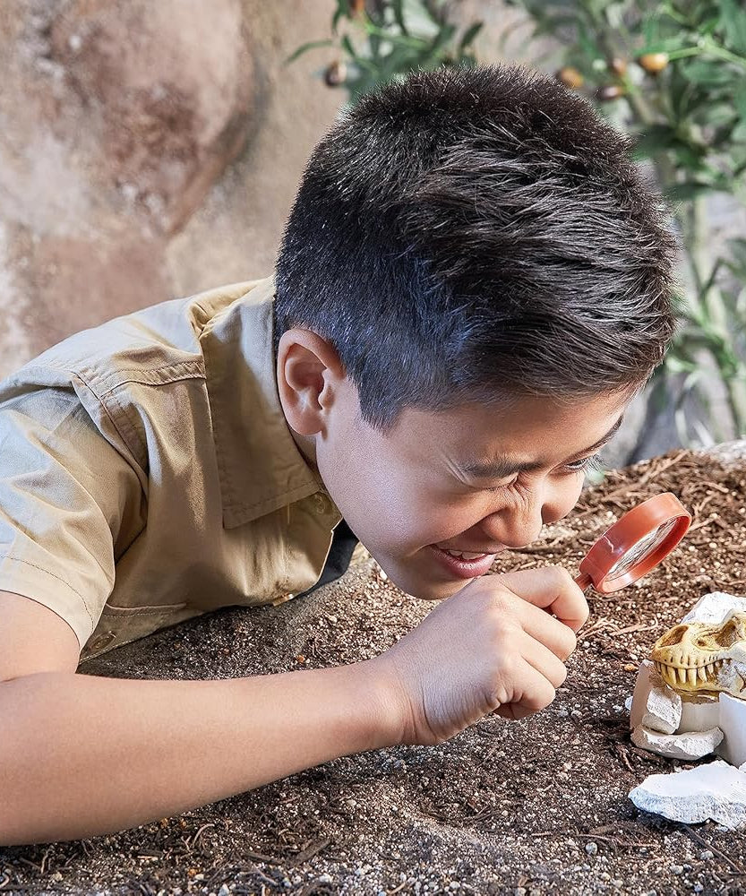 Zuru Robo Alive Mega Dino Fossil Find - Excavation Kit with Robotic Dinosaur Skeleton, Lights Up, Roars, Includes Fossils, Slime, and Sand, for Kids Ages 5+