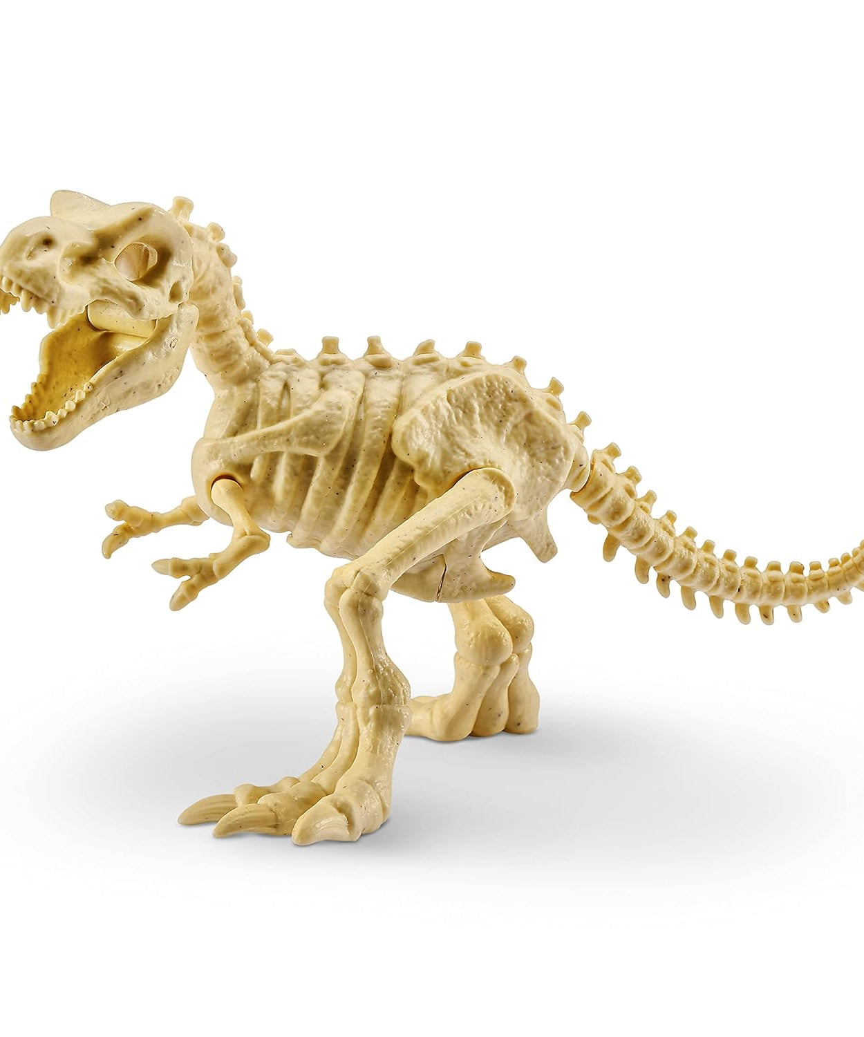 Zuru Robo Alive Dino Fossil Find - Dig, Assemble, Light-Up Dino Skeleton with Sounds, Dinosaur Fossils Excavation Kit, for Kids Ages 5+