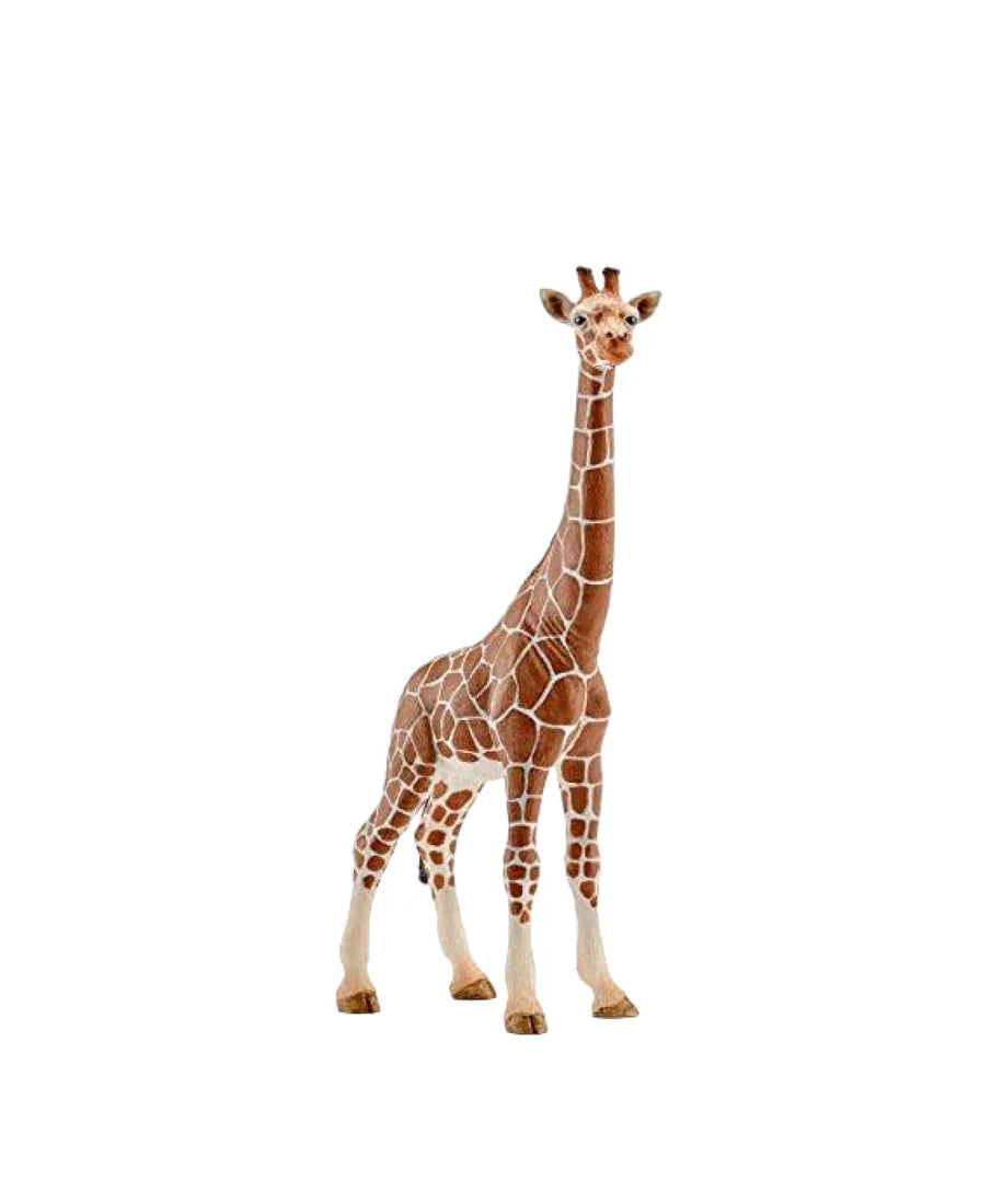 UCOK Toys Giraffe Animal Model | Realistic Vinyl Toy for Kids 3+ | Educational Wildlife Figure for Imaginative Play and Animal Learning