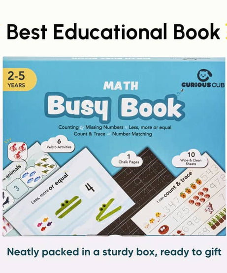 Curious Cub Math Busy Book for Toddlers 2–5 Years | Reusable Montessori-Inspired Learning Book with 6 Velcro Activities, Chalk Page & 10 Wipe-Clean Sheets | Early Math Skills, Travel-Friendly, Screen-Free Fun - MINIMEE KIDS