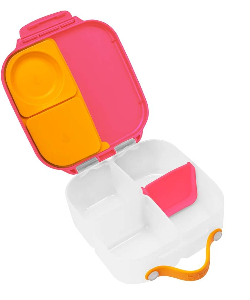 B.Box Mini Lunch Box 1L for Kids (3y+) | Leak-Proof 2-Compartment Lunchbox with Stretchy Flexi Fruit Holder & Adjustable Divider | BPA-Free & Freezer Safe | Assorted Colors - MINIMEE KIDS