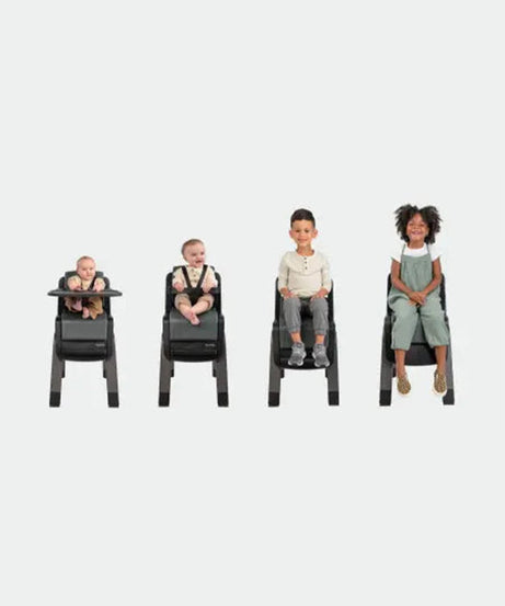 Nuna Zaaz High Chair - For 0M+ to 100Kg - Air Foam Cushion - Black Plum