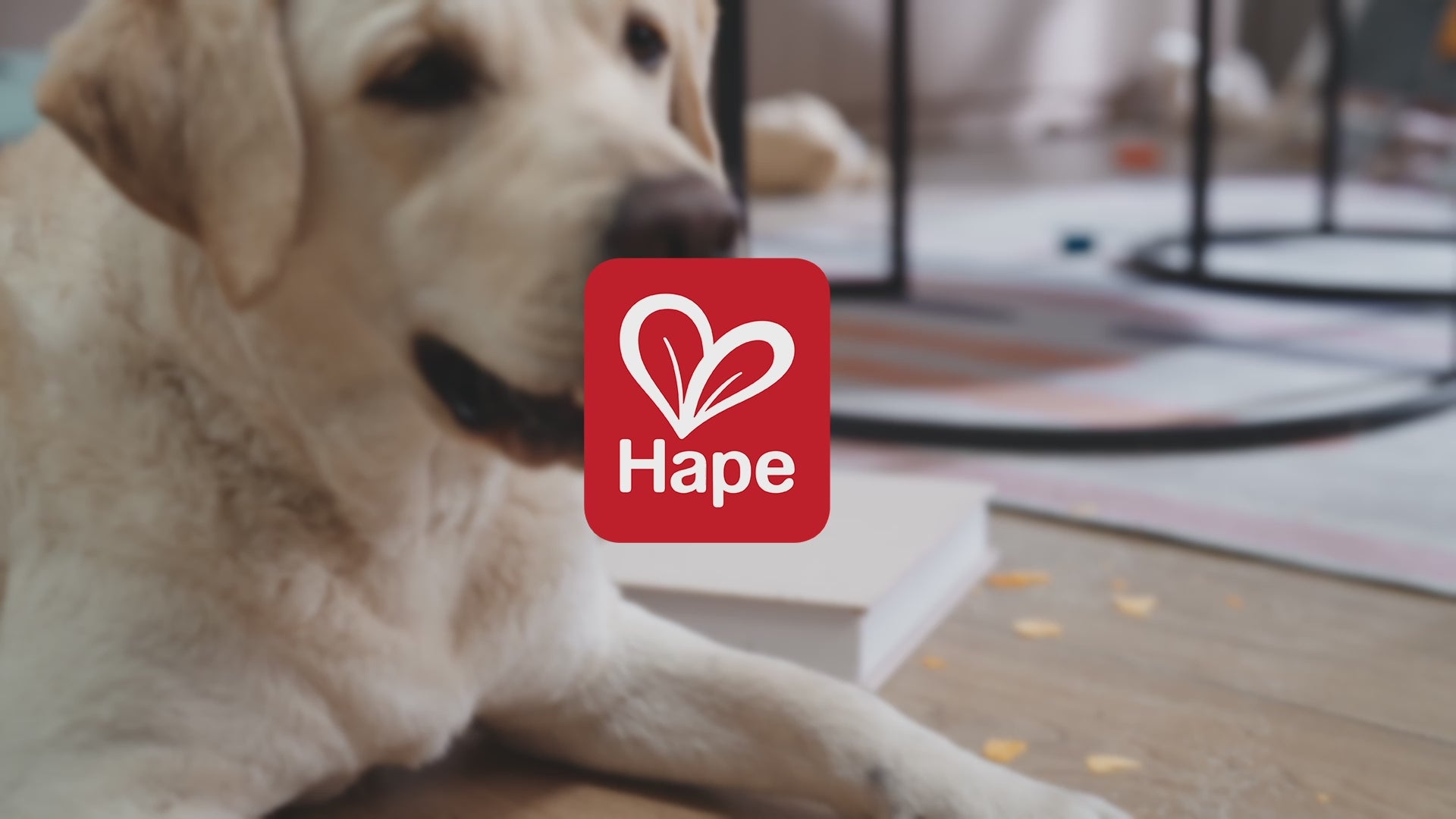 Hape Vacuum Playset for Kids – 7-Piece Robot Face Cleaning Toy | Pretend Play for 2–6 Year Olds | Enhances Motor Skills & Confidence through Tidy Fun